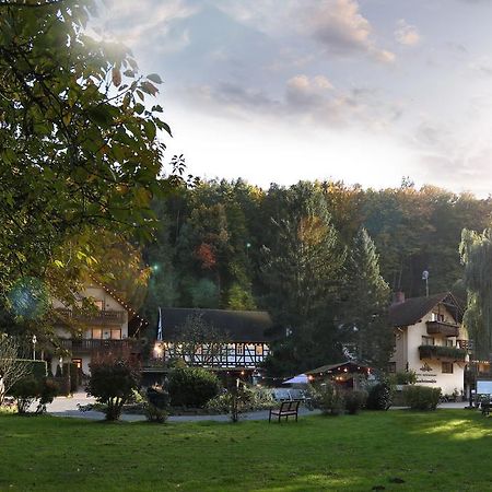 Hotel Restaurant Paradeismuehle Klingenberg am Main Eksteriør bilde